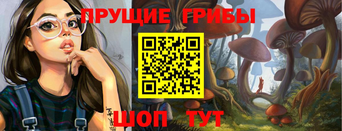 где можно купить наркотик  Вход с VPN  Краснодар  Галлюциногенные грибы Cubensis 