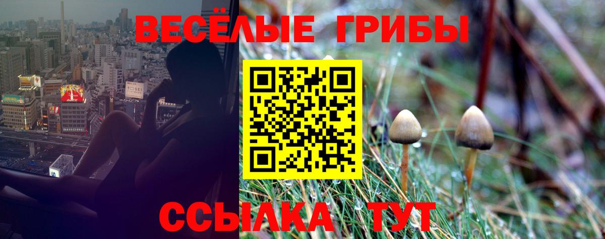 Псилоцибиновые грибы ЛСД Краснодар
